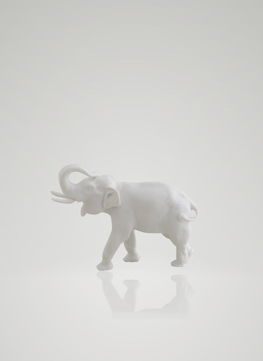 Elefant stehend