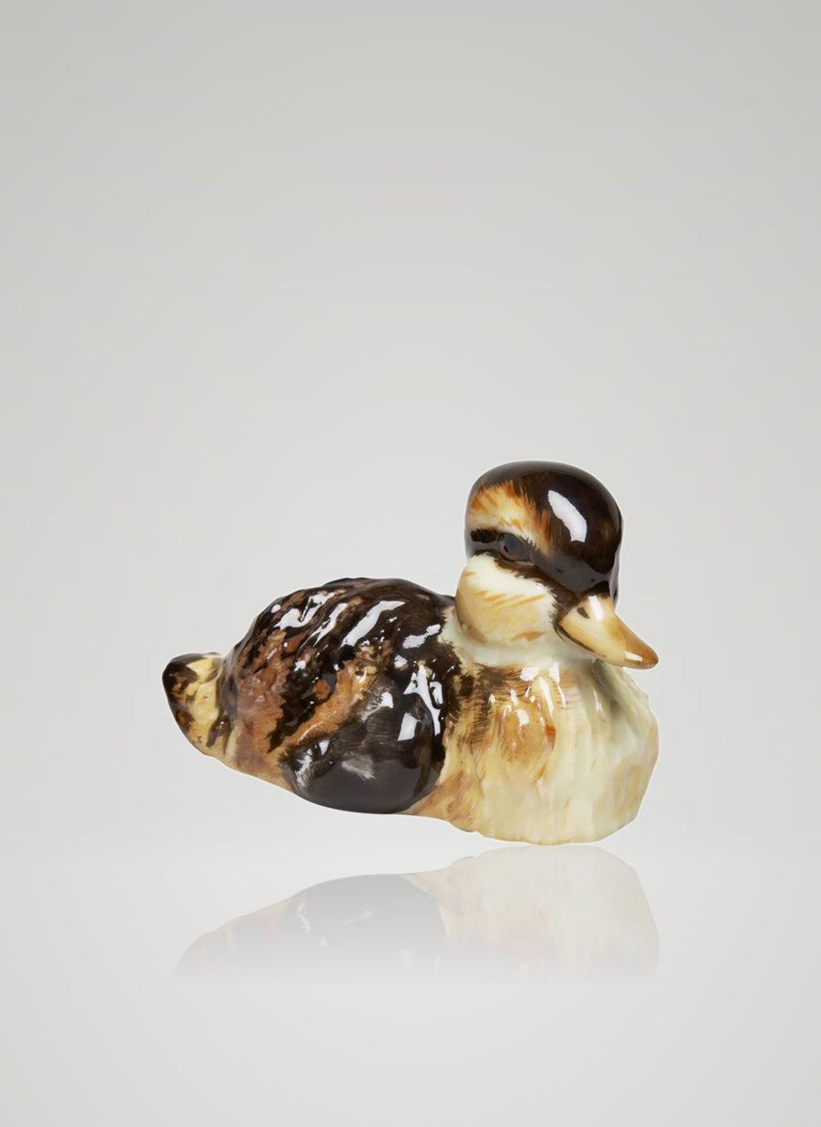 Ente gerade schauend