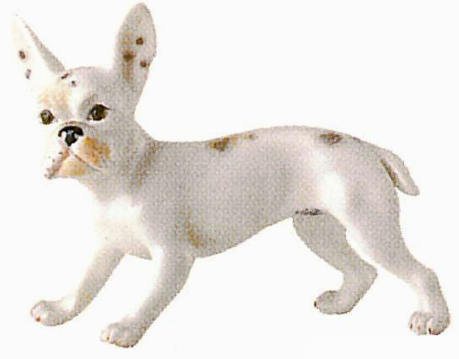 Französischer Bully