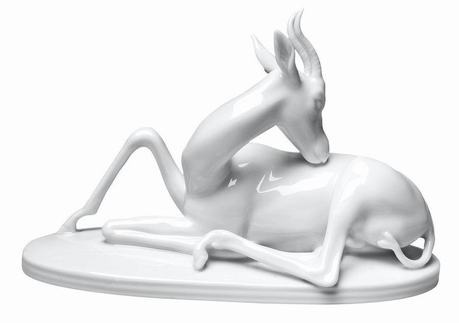 Gazelle liegend