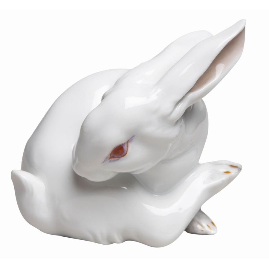 Hase in Drehung