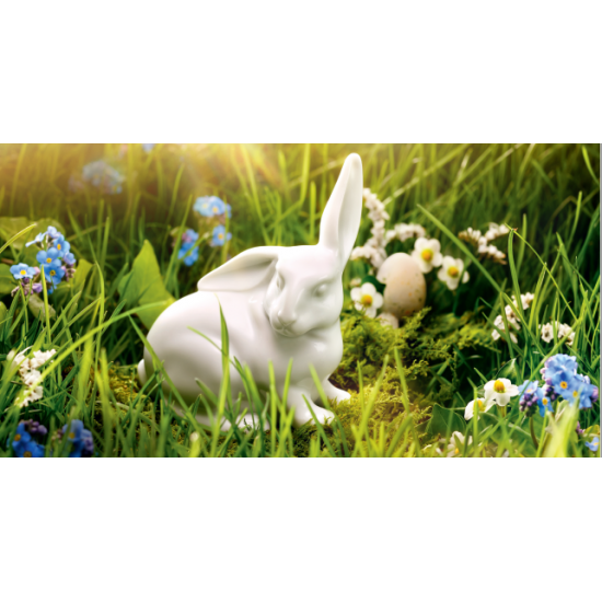 Hase sitzend