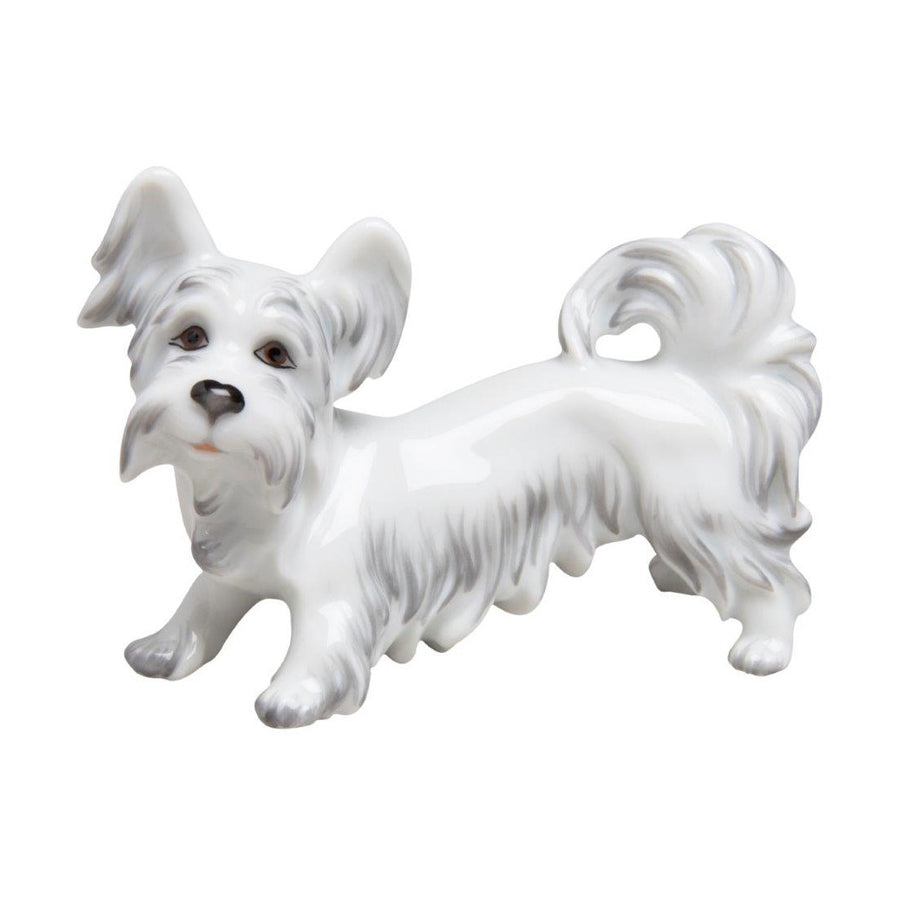 Skyterrier