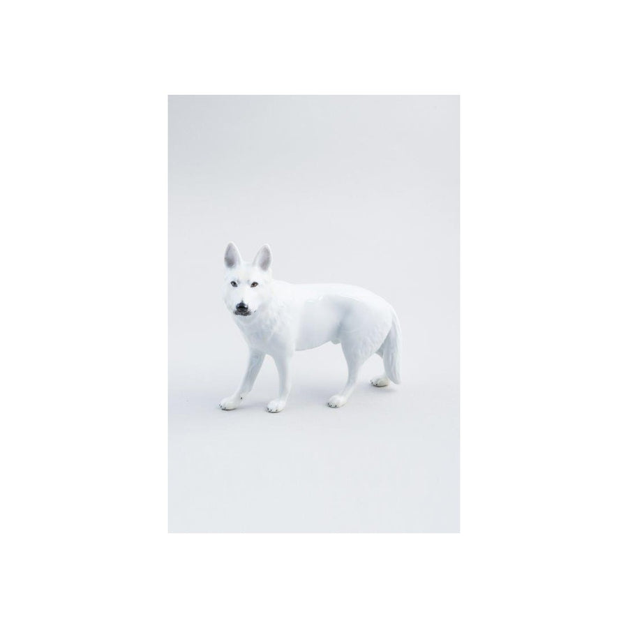 Weißer Schäferhund